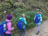Tn Bild  (12)